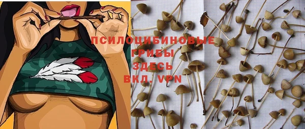 дживик Абдулино