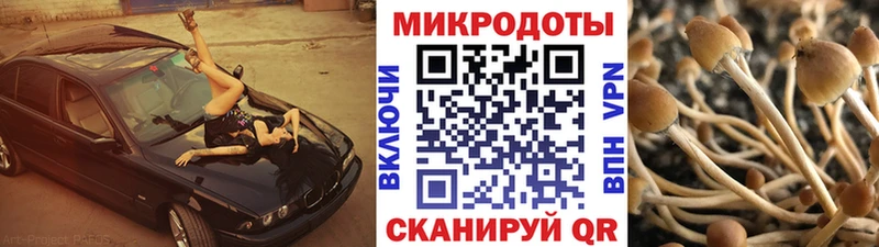 где можно купить наркотик  нарко площадка клад  Галлюциногенные грибы GOLDEN TEACHER  Сычёвка 